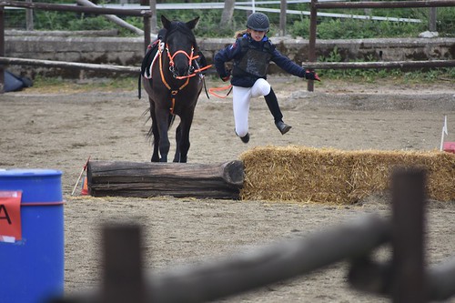 Resultados Trec***, Trec**, Trec*, Promoci&oacute;n, Menores*, Menores 0* Territorial y Campeonato Navarro 2019